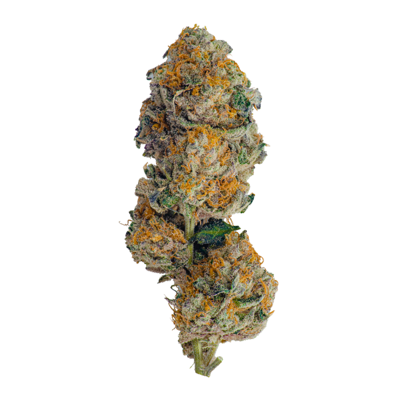 Cryptik Chronic Bud